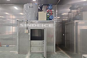 山東食品廠，日產(chǎn)8噸片冰機